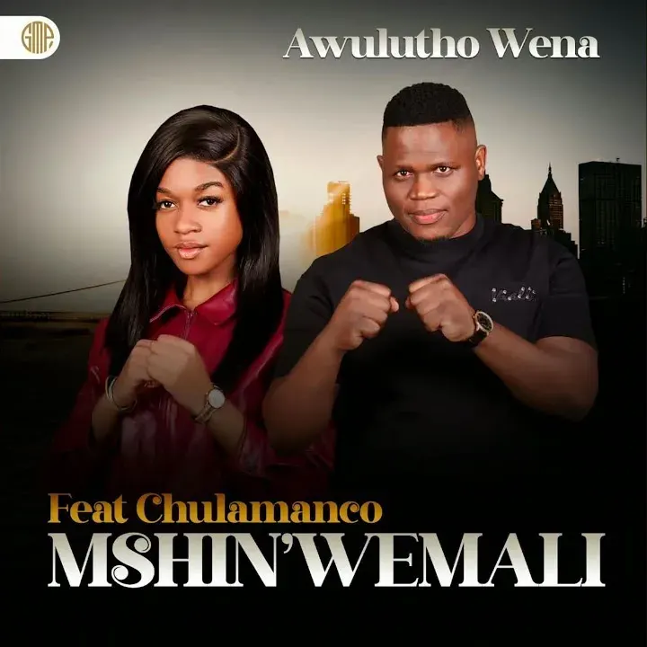 Mshinwemali – Ayngangawe Ft. Umfoka Msezane